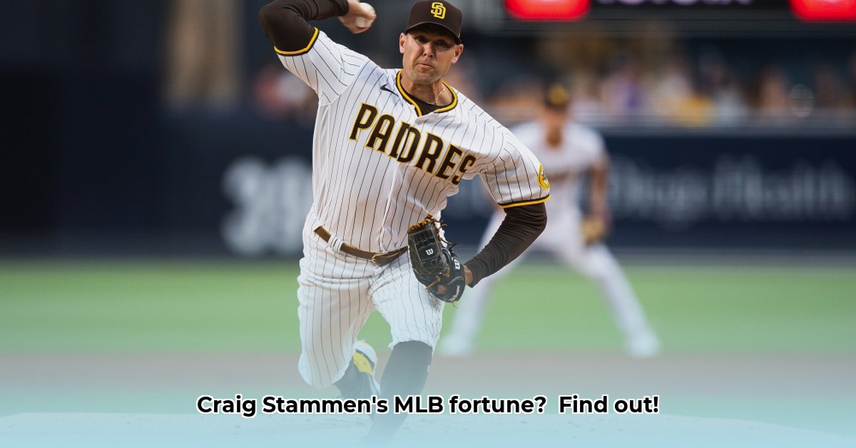 craig-stammen-net-worth